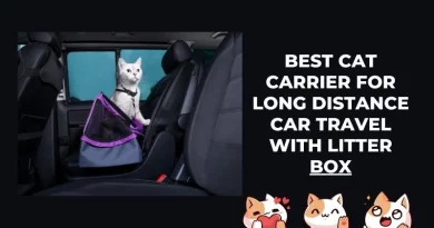 Best Cat Carrier for Long Distance Car Travel with Litter Box